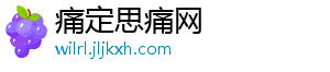 痛定思痛网